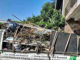 Best Furniture Removal  in Warsaw, VA